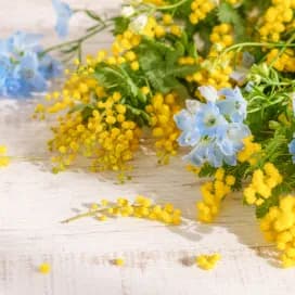 母の日・父の日